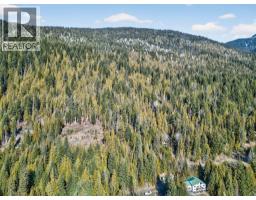 Vickers Trail Lot# 7, Anglemont, BC V0E1M8 Photo 8