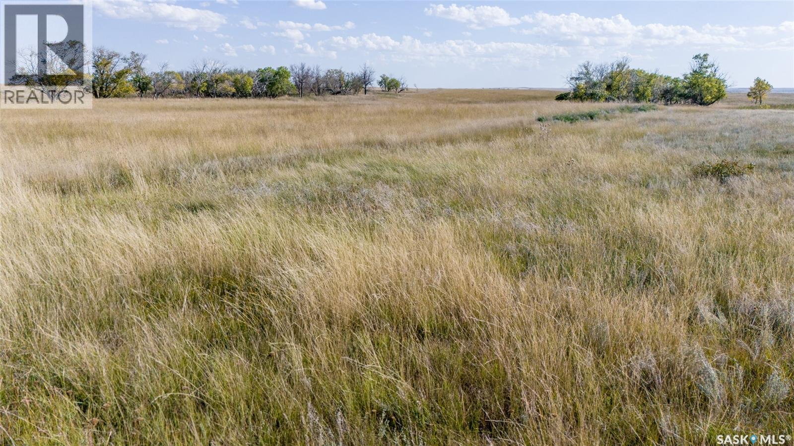 243 Deeded Acres w/ Assignable Crown Lease RM 101, Terrell Rm No. 101 — photo 16