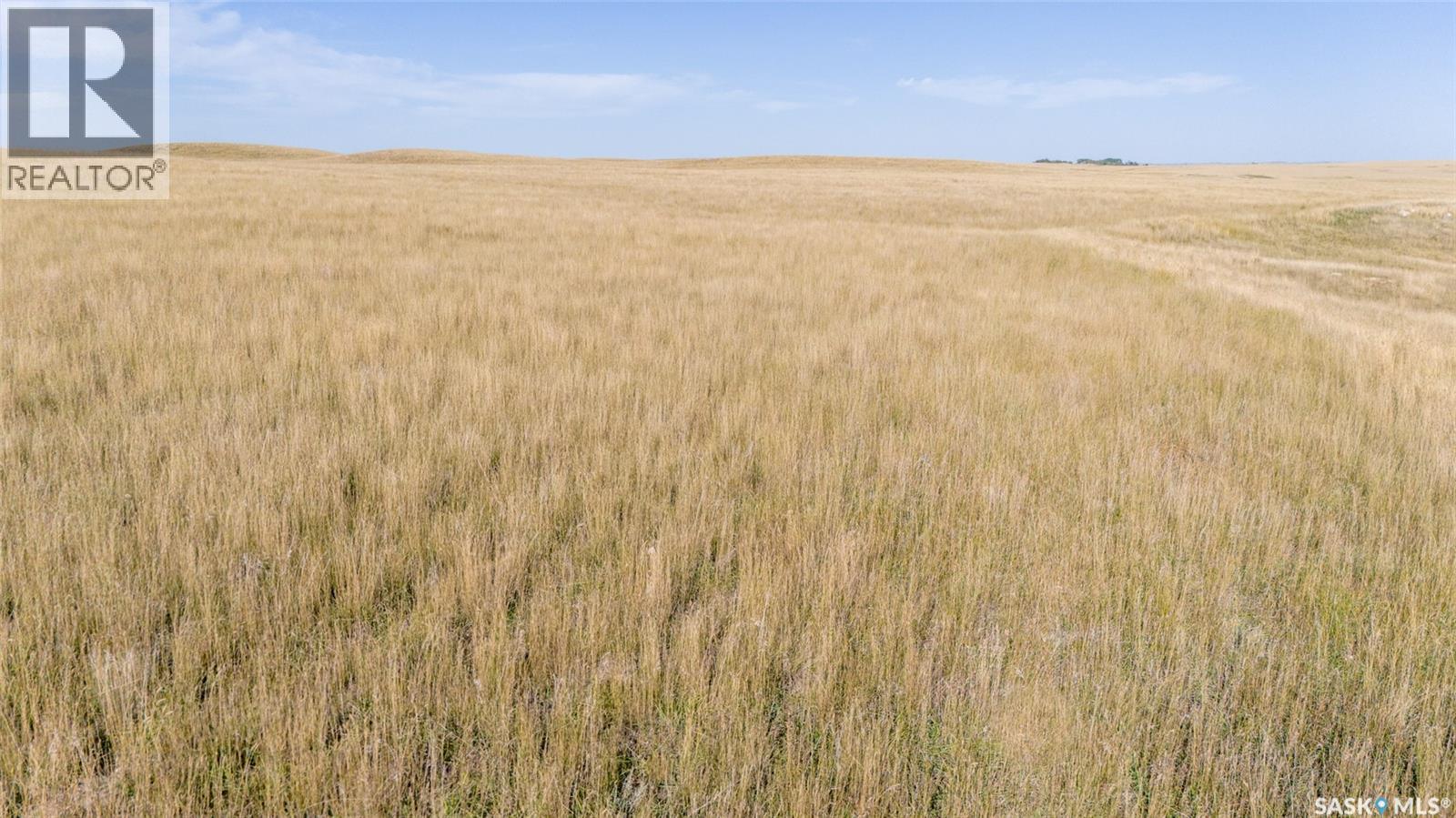243 Deeded Acres w/ Assignable Crown Lease RM 101, Terrell Rm No. 101 — photo 23