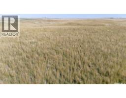 243 Deeded Acres W/ Assignable Crown Lease Rm 101, Terrell Rm No  101, SK S0H0E0 Photo 12