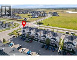 302 Sunrise Terrace Ne, High River, AB T1V0C3 Photo 40
