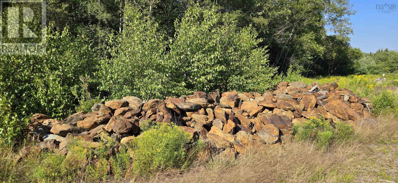 Lot Highway 10, Cookville — photo 20