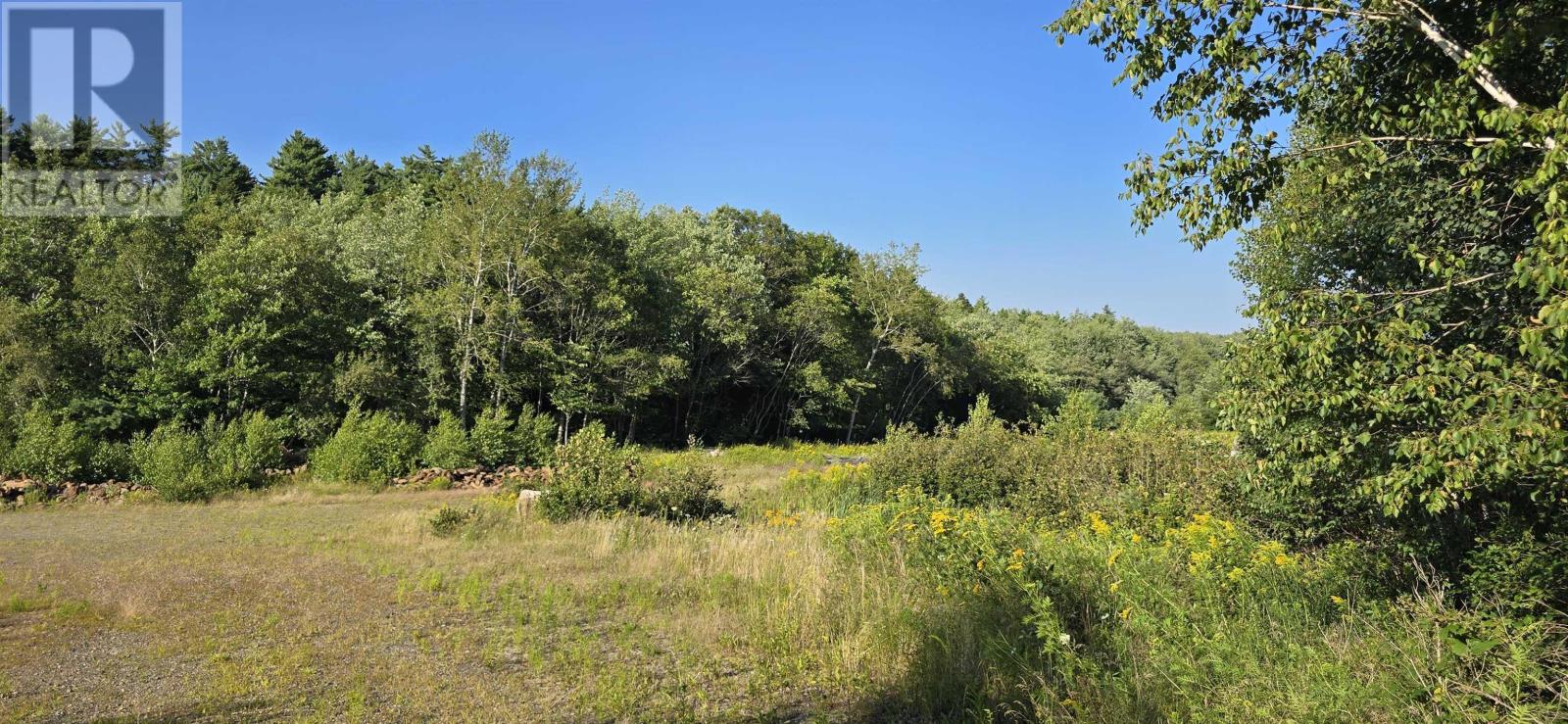 Lot Highway 10, Cookville — photo 33