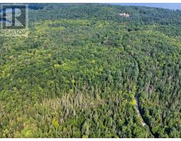1045 B Browns Brae Road, Lake Of Bays, ON P0B1A0 Photo 10