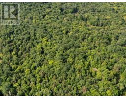 1045 B Browns Brae Road, Lake Of Bays, ON P0B1A0 Photo 12