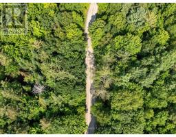 1045 B Browns Brae Road, Lake Of Bays, ON P0B1A0 Photo 14