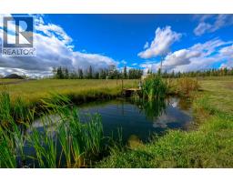 Pt. Of Sw-2376-6-w6 677 Highway, Woking, AB T0H3G0 Photo 45
