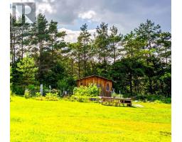 3232 15th Side Road, New Tecumseth, ON L0G1A0 Photo 48