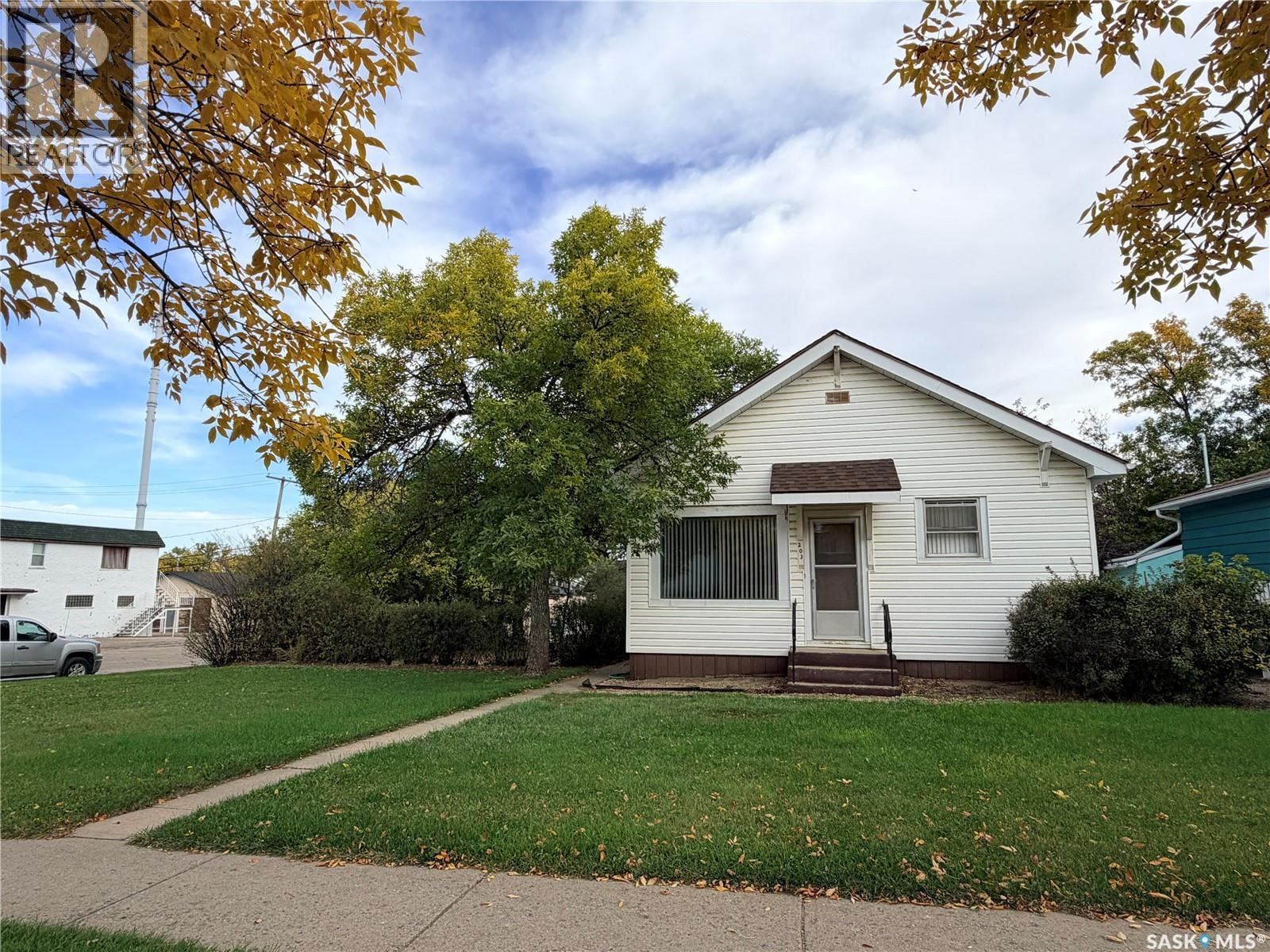 203 4th AVENUE E, Assiniboia — photo 2