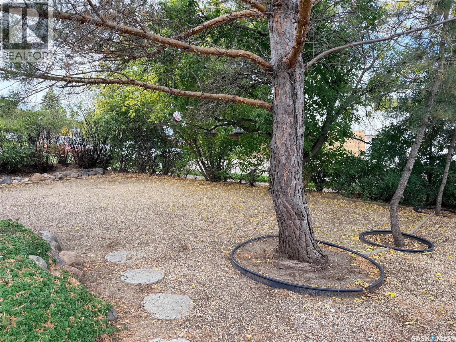 203 4th AVENUE E, Assiniboia — photo 33