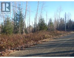 Lot 2 Artela Dr, Fanny Bay, BC V0R1W0 Photo 11