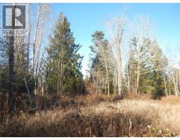 Lot 2 Artela Dr, Fanny Bay, BC V0R1W0 Photo 8