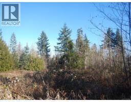 Lot 2 Artela Dr, Fanny Bay, BC V0R1W0 Photo 7