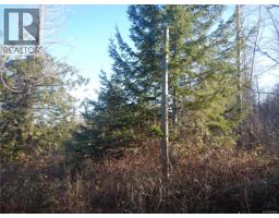 Lot 2 Artela Dr, Fanny Bay, BC V0R1W0 Photo 9