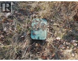 Lot 2 Artela Dr, Fanny Bay, BC V0R1W0 Photo 10
