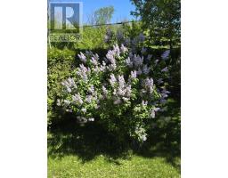 418 Bellevue Crescent, Cornwall, ON K6H5M9 Photo 22