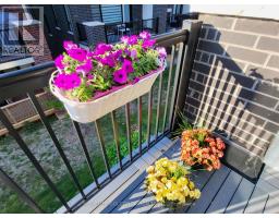 34 Banshee Lane, Richmond Hill, ON L4E1H4 Photo 11