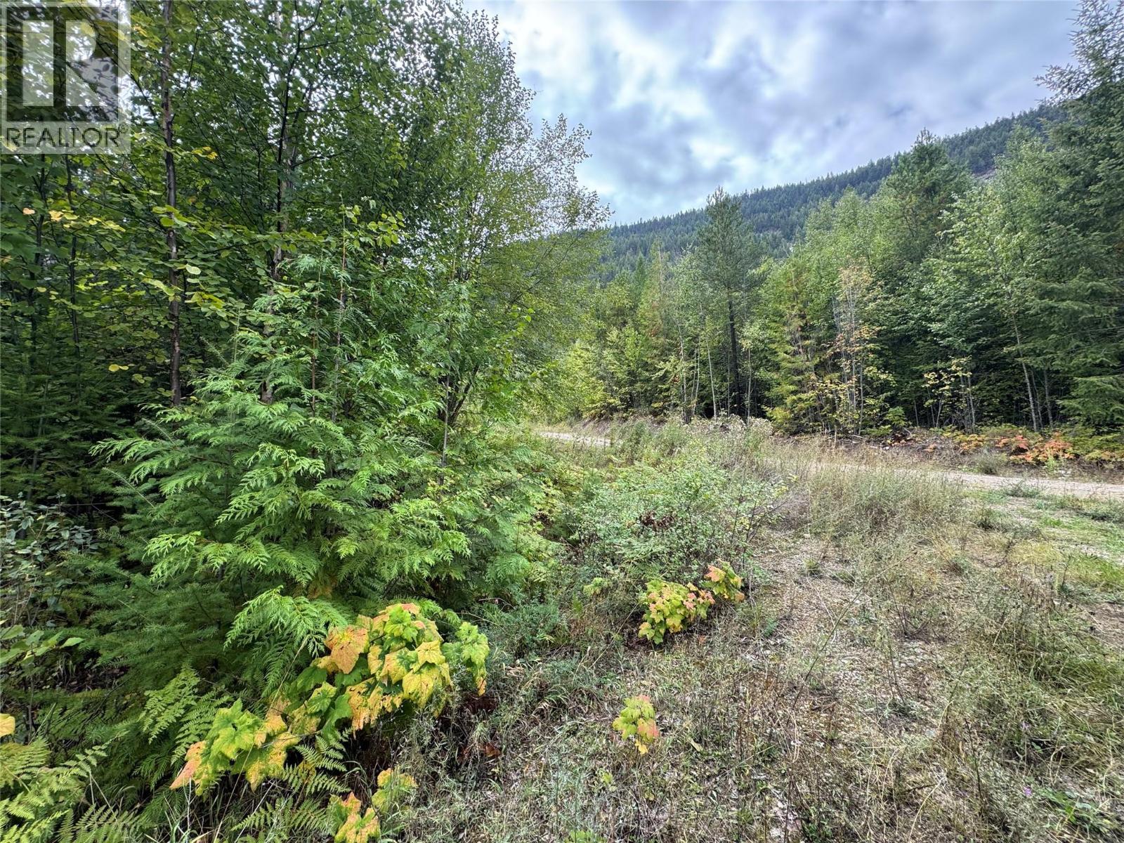 Lot 16 Osprey Point, Renata — photo 18