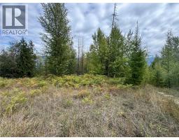 Lot 16 Osprey Point, Renata, BC V1N3N3 Photo 17