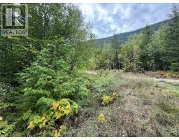 Lot 16 Osprey Point, Renata, BC V1N3N3 Photo 18