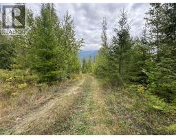 Lot 16 Osprey Point, Renata, BC V1N3N3 Photo 19