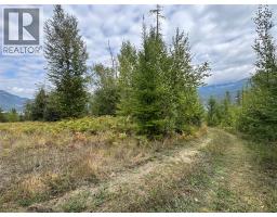 Lot 16 Osprey Point, Renata, BC V1N3N3 Photo 20