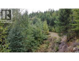 Lot 16 Osprey Point, Renata, BC V1N3N3 Photo 32