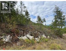 Lot 16 Osprey Point, Renata, BC V1N3N3 Photo 8