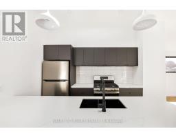 Upper - 86 Lansdowne Avenue, Toronto, ON M6K2V9 Photo 8