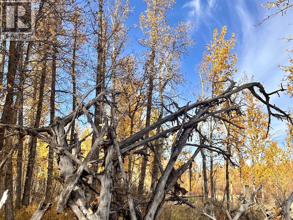 On Range Road 20, Rural Red Deer County — photo 12