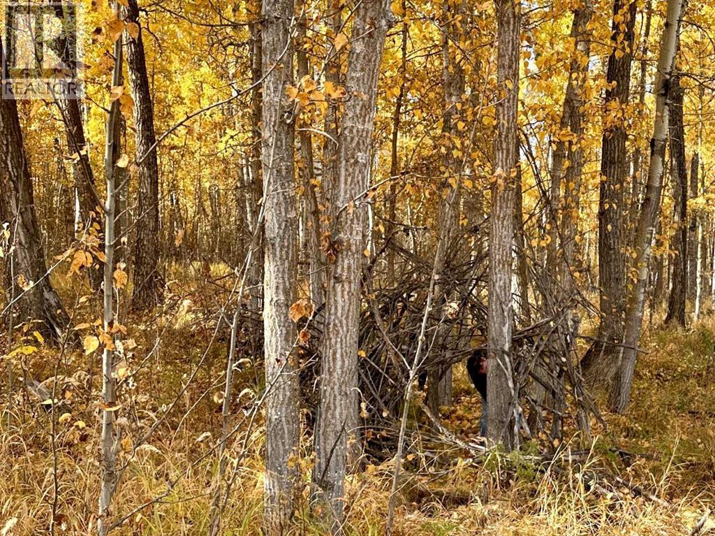 On Range Road 20, Rural Red Deer County — photo 11
