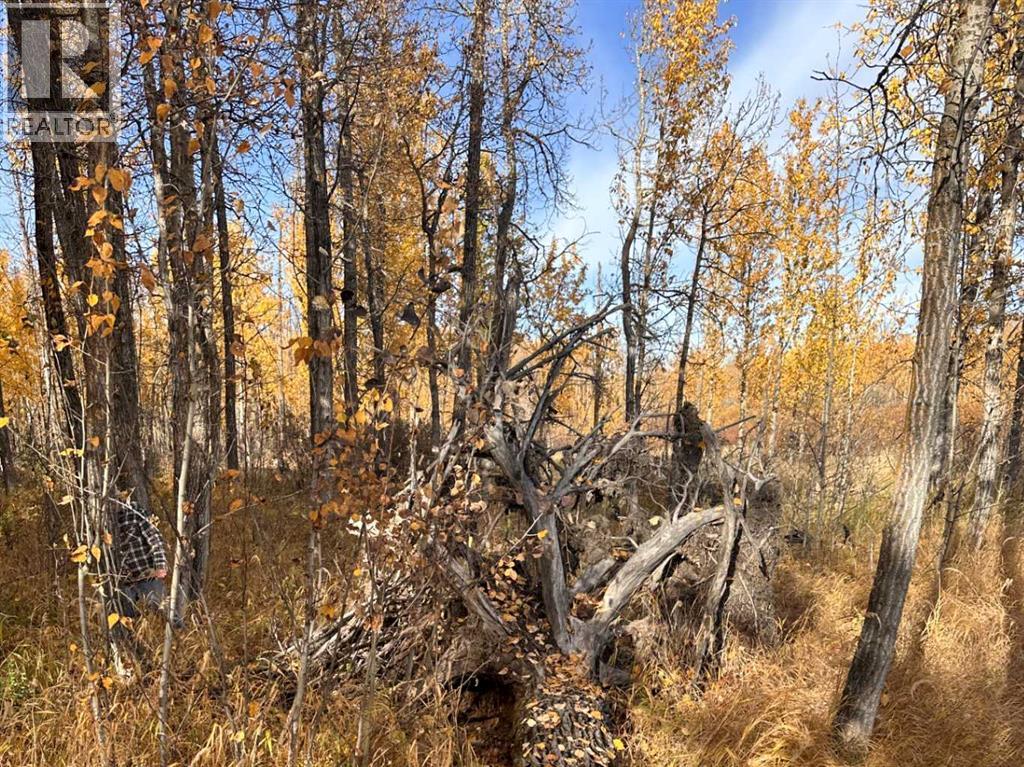 On Range Road 20, Rural Red Deer County — photo 7