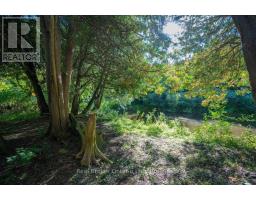 36 Ash Street, Guelph/eramosa, ON N0B1P0 Photo 44