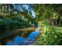 36 Ash Street, Guelph/eramosa, ON N0B1P0 Photo 46