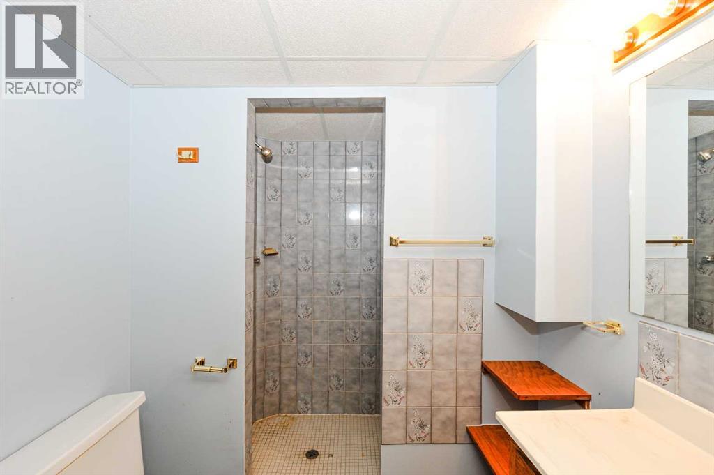 Basement 3 Piece Bathroom