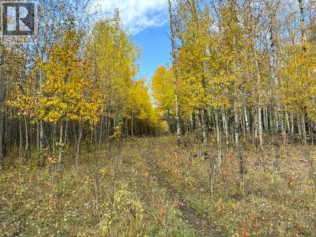 32310 Range Road 45, Rural Mountain View County — photo 11