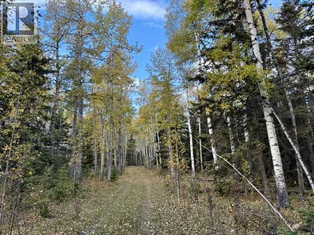 32310 Range Road 45, Rural Mountain View County — photo 4