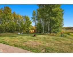 217-51069 Rge Rd 215, Rural Strathcona County, AB T8E1G7 Photo 23