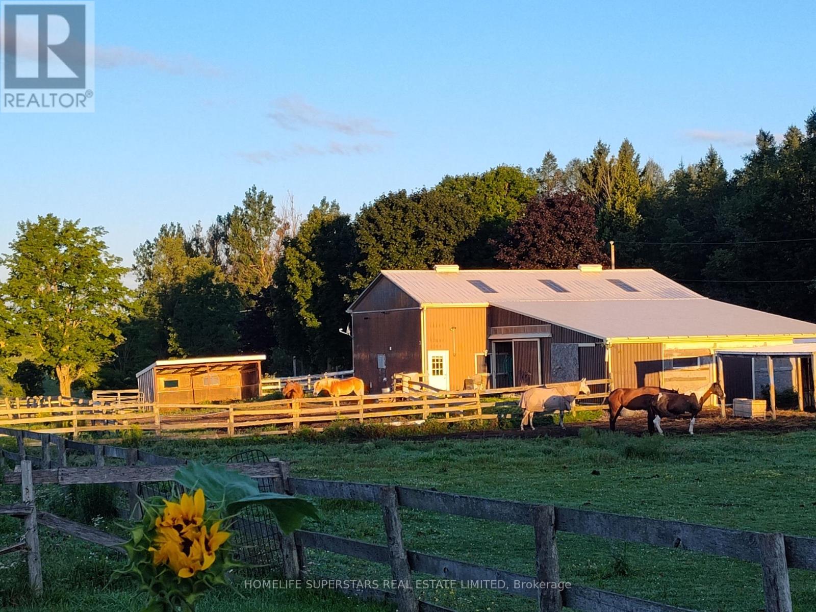 873121 5TH LINE N, Mono — photo 8