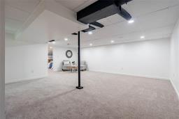 218 Houde Drive, Winnipeg, MB R3V1C5 Photo 22