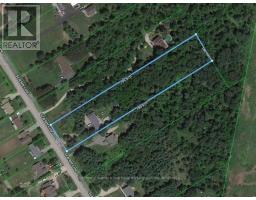 63 Scarlett Line, Oro Medonte, ON L0L1V0 Photo 31
