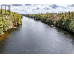 13-1630 Muskoka District Road 38 Road, Muskoka Lakes, ON P0C1A0 Photo 37