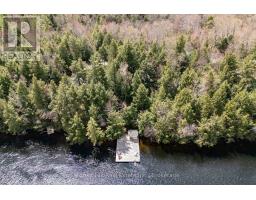 13-1630 Muskoka District Road 38 Road, Muskoka Lakes, ON P0C1A0 Photo 40