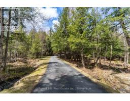 13-1630 Muskoka District Road 38 Road, Muskoka Lakes, ON P0C1A0 Photo 45