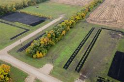 1 Iron Horse Drive, Ile Des Chenes, MB R0A0T4 Photo 9