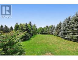 12 Peter Street, Amaranth, ON L9W5Z1 Photo 34