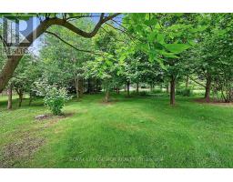 12 Peter Street, Amaranth, ON L9W5Z1 Photo 39