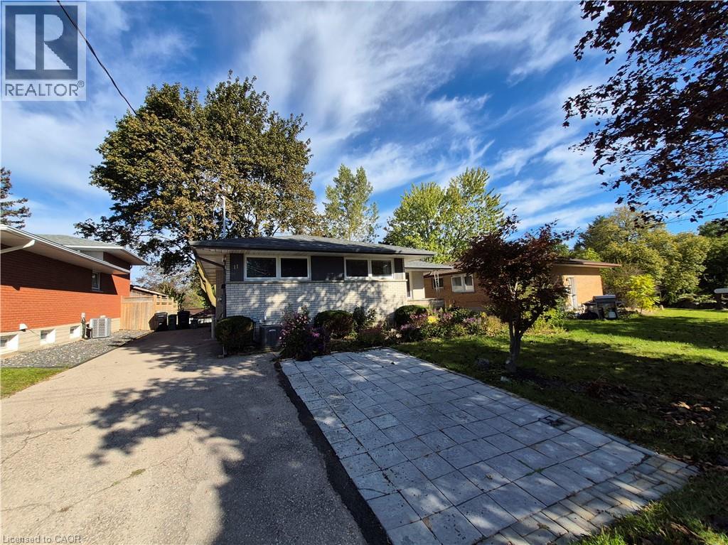 11 DUNCAIRN Avenue - 3