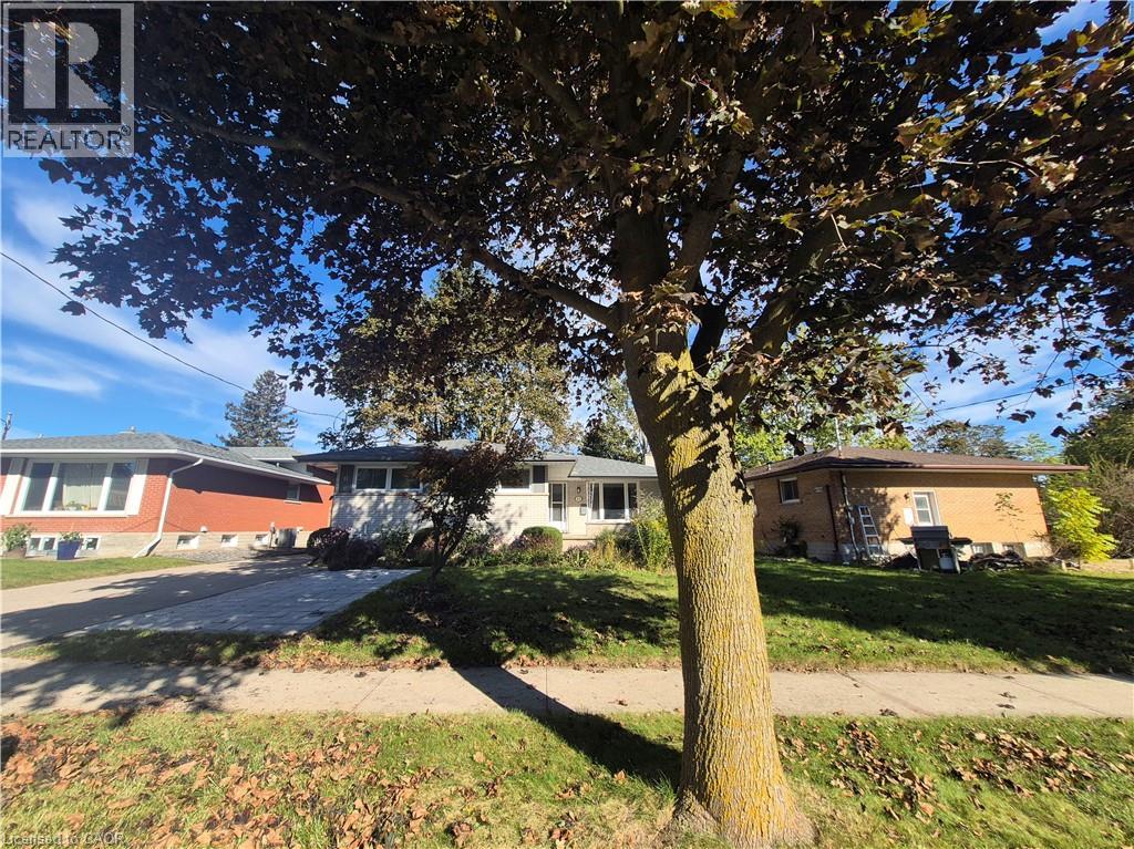 11 DUNCAIRN Avenue - 4