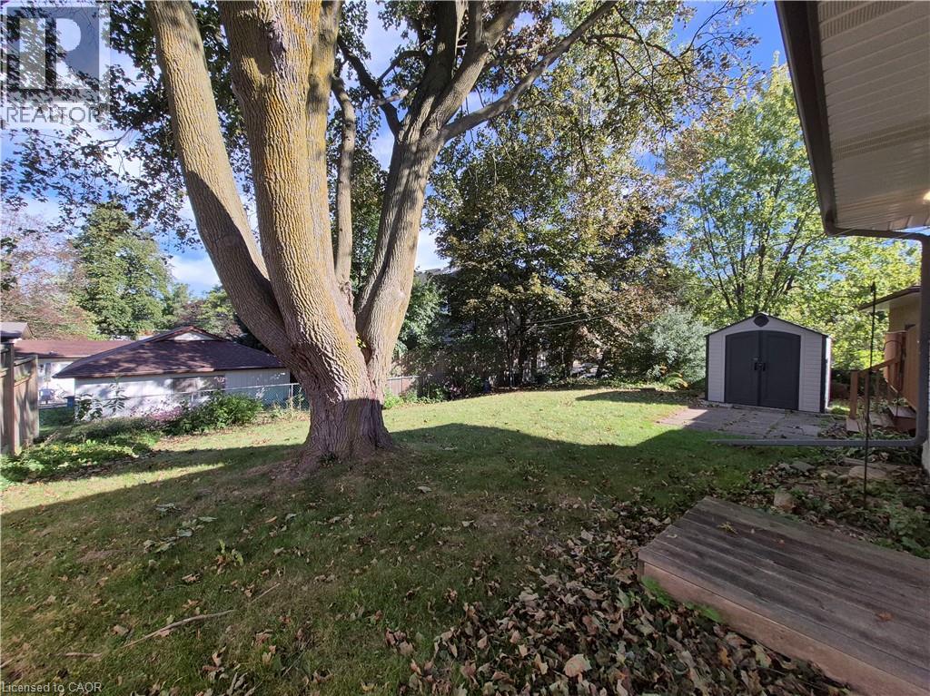 11 DUNCAIRN Avenue - 46